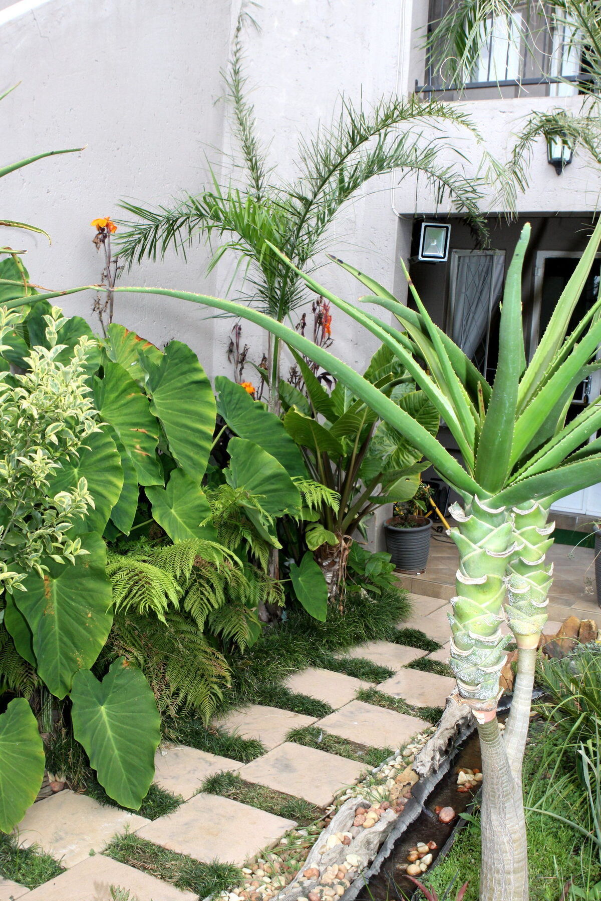 Airport Lodge Guest House Kempton Park Luaran gambar